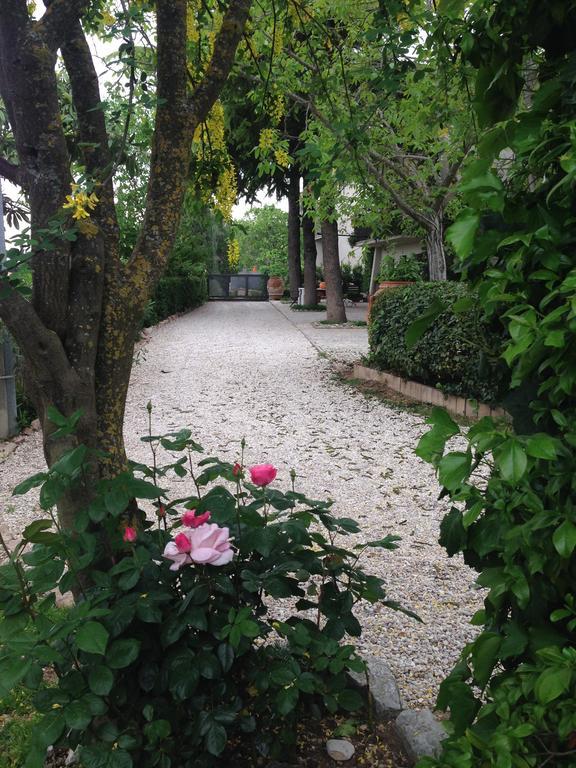 B&B Il Giovine 캄펠로술클리툰노 외부 사진